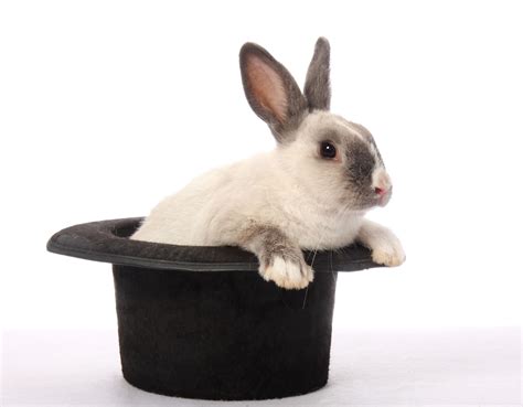 The Symbolic Meaning of the Hat-Rabbit Trick in Magic Shows